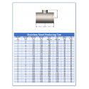 S/10 304L Stainless Steel Grooved Reducing Tee