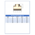 S/10 304L Stainless Steel Grooved Tee
